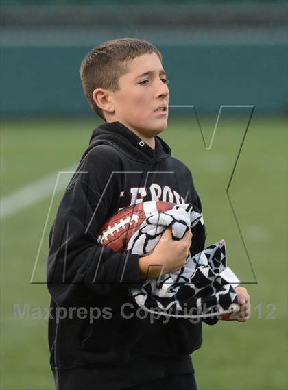 Thumbnail 2 in Haverling vs. Le Roy (Class C Semifinals) photogallery.