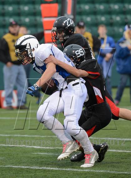 Thumbnail 3 in Haverling vs. Le Roy (Class C Semifinals) photogallery.