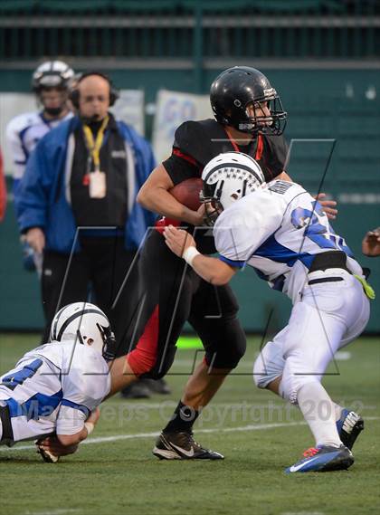 Thumbnail 3 in Haverling vs. Le Roy (Class C Semifinals) photogallery.