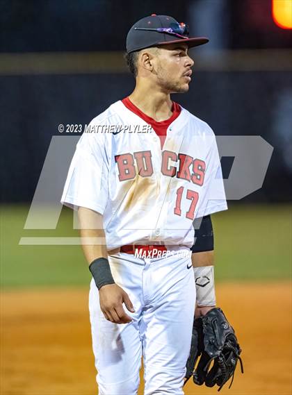 Thumbnail 1 in Southern Lee @ Hoke County photogallery.