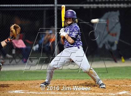 Thumbnail 3 in River Ridge @ Zephyrhills photogallery.