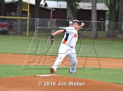 Thumbnail 1 in River Ridge @ Zephyrhills photogallery.