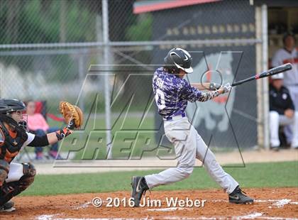 Thumbnail 1 in River Ridge @ Zephyrhills photogallery.