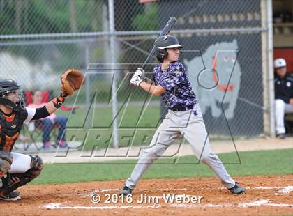 Thumbnail 3 in River Ridge @ Zephyrhills photogallery.