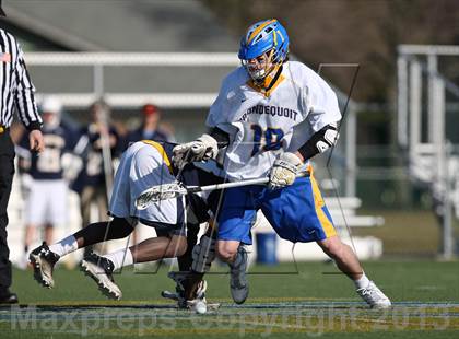 Thumbnail 3 in Brighton @ Irondequoit photogallery.