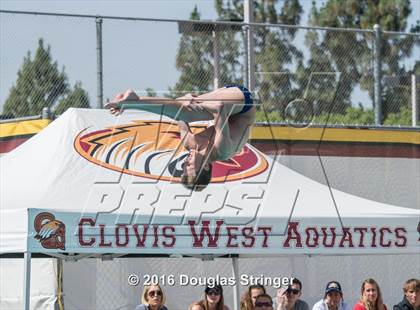 Thumbnail 3 in CIF State Boys Diving Championships photogallery.