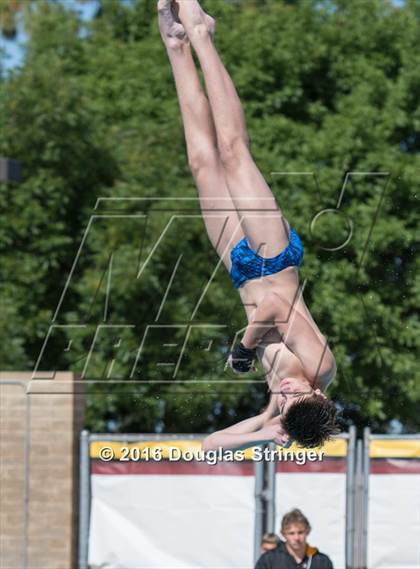 Thumbnail 1 in CIF State Boys Diving Championships photogallery.