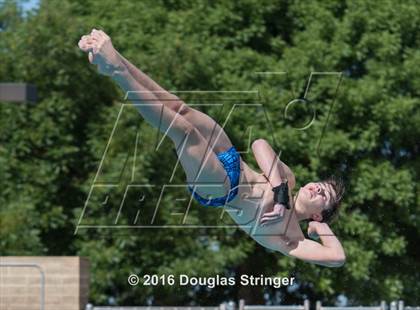 Thumbnail 2 in CIF State Boys Diving Championships photogallery.