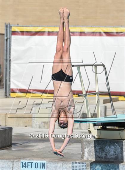 Thumbnail 2 in CIF State Boys Diving Championships photogallery.