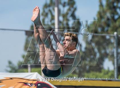 Thumbnail 2 in CIF State Boys Diving Championships photogallery.