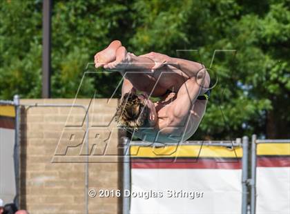 Thumbnail 3 in CIF State Boys Diving Championships photogallery.