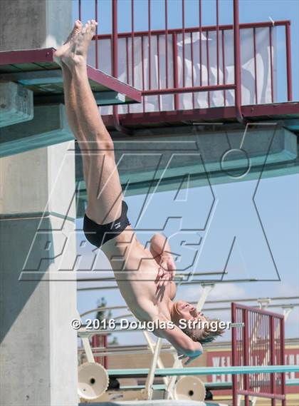 Thumbnail 1 in CIF State Boys Diving Championships photogallery.