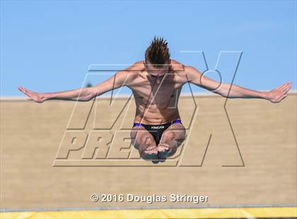 Thumbnail 1 in CIF State Boys Diving Championships photogallery.