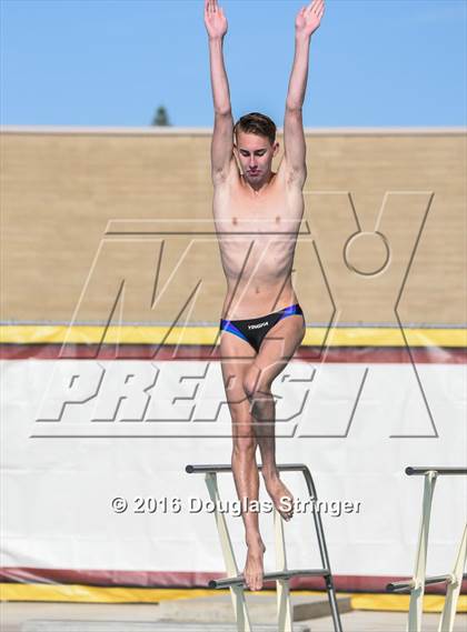 Thumbnail 3 in CIF State Boys Diving Championships photogallery.