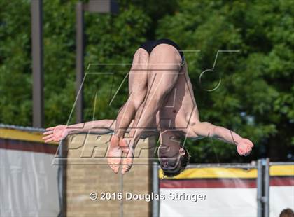 Thumbnail 2 in CIF State Boys Diving Championships photogallery.