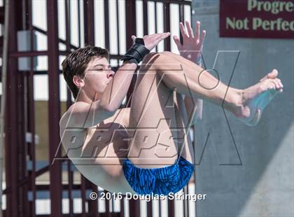 Thumbnail 3 in CIF State Boys Diving Championships photogallery.