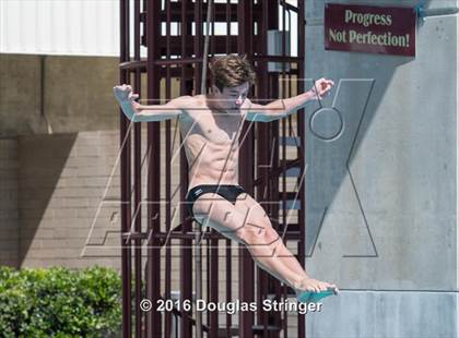 Thumbnail 3 in CIF State Boys Diving Championships photogallery.