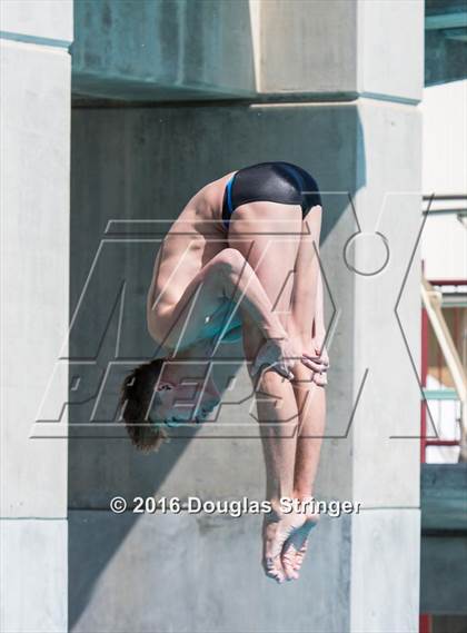 Thumbnail 1 in CIF State Boys Diving Championships photogallery.