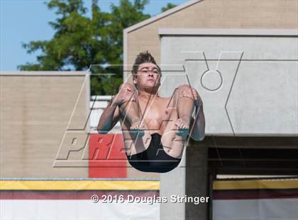 Thumbnail 3 in CIF State Boys Diving Championships photogallery.