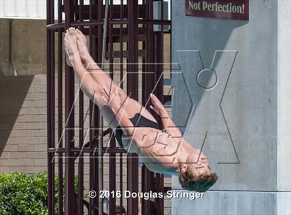 Thumbnail 3 in CIF State Boys Diving Championships photogallery.