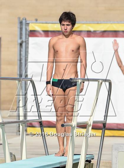 Thumbnail 2 in CIF State Boys Diving Championships photogallery.