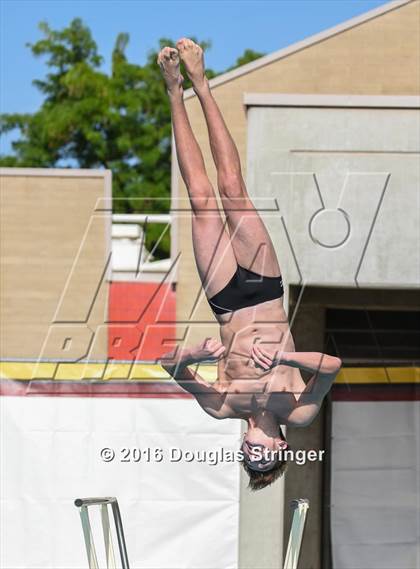 Thumbnail 1 in CIF State Boys Diving Championships photogallery.