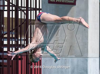 Thumbnail 1 in CIF State Boys Diving Championships photogallery.