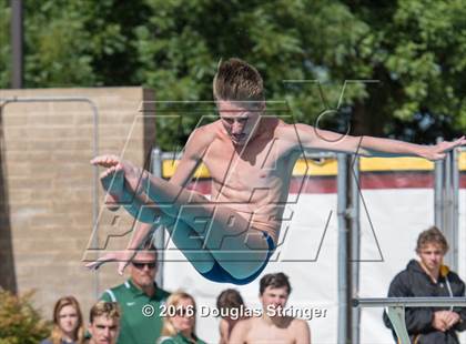 Thumbnail 1 in CIF State Boys Diving Championships photogallery.