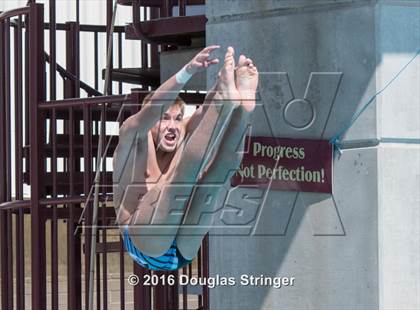 Thumbnail 3 in CIF State Boys Diving Championships photogallery.
