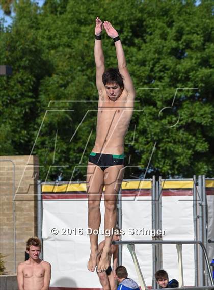 Thumbnail 2 in CIF State Boys Diving Championships photogallery.