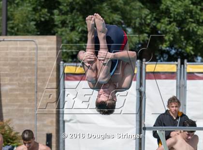 Thumbnail 3 in CIF State Boys Diving Championships photogallery.