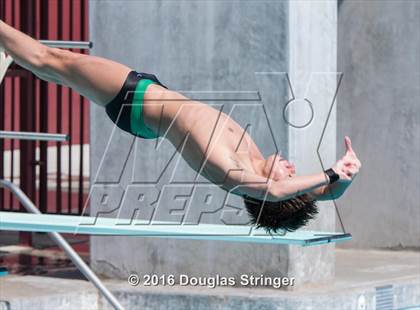 Thumbnail 2 in CIF State Boys Diving Championships photogallery.