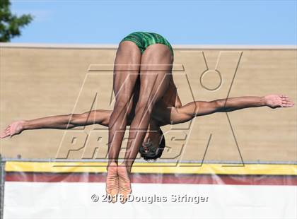 Thumbnail 3 in CIF State Boys Diving Championships photogallery.