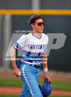 Photo from the gallery "Cactus Shadows @ Canyon View"