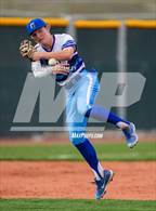 Photo from the gallery "Cactus Shadows @ Canyon View"