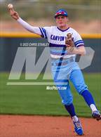 Photo from the gallery "Cactus Shadows @ Canyon View"