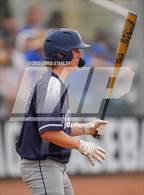 Photo from the gallery "Cactus Shadows @ Canyon View"
