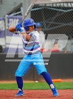 Photo from the gallery "Cactus Shadows @ Canyon View"