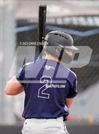 Photo from the gallery "Cactus Shadows @ Canyon View"