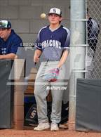Photo from the gallery "Cactus Shadows @ Canyon View"