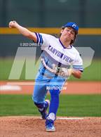 Photo from the gallery "Cactus Shadows @ Canyon View"