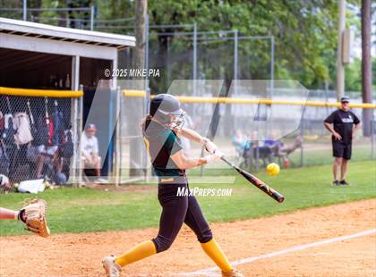 Thumbnail 3 in Pine Forest @ Terry Sanford photogallery.