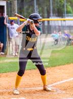 Photo from the gallery "Pine Forest @ Terry Sanford"