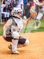 Photo from the gallery "Pine Forest @ Terry Sanford"