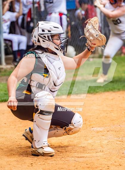 Thumbnail 3 in Pine Forest @ Terry Sanford photogallery.