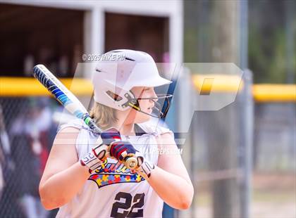 Thumbnail 1 in Pine Forest @ Terry Sanford photogallery.