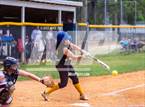 Photo from the gallery "Pine Forest @ Terry Sanford"
