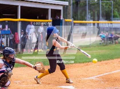 Thumbnail 1 in Pine Forest @ Terry Sanford photogallery.