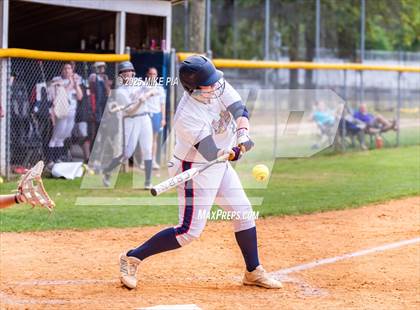 Thumbnail 2 in Pine Forest @ Terry Sanford photogallery.