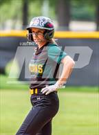 Photo from the gallery "Pine Forest @ Terry Sanford"